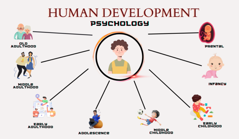 Freuds Psychosexual Stages Of Development And Its Criticism