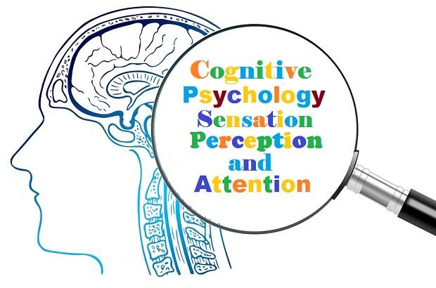 cognitive psychologists