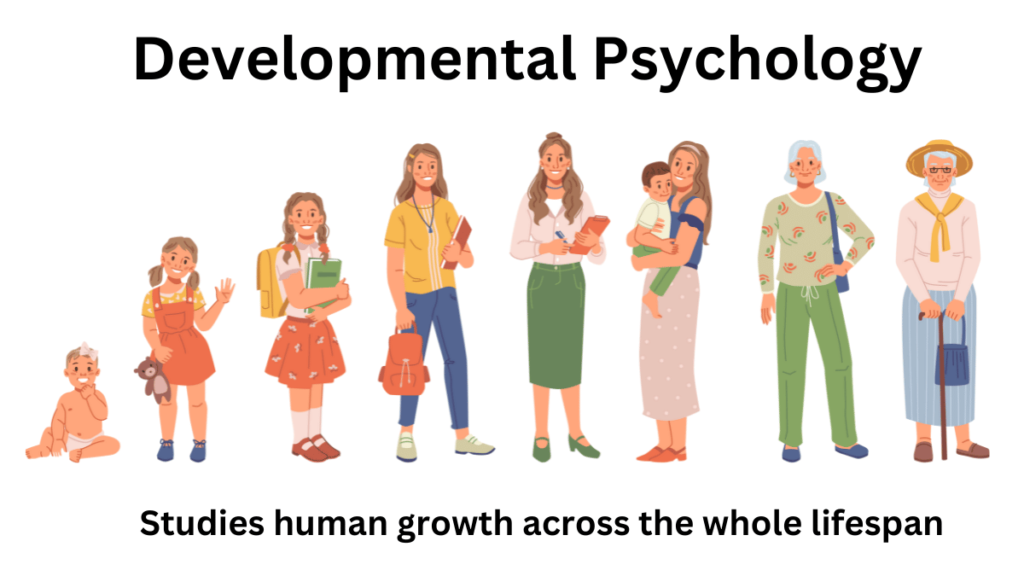 developmental psychologist