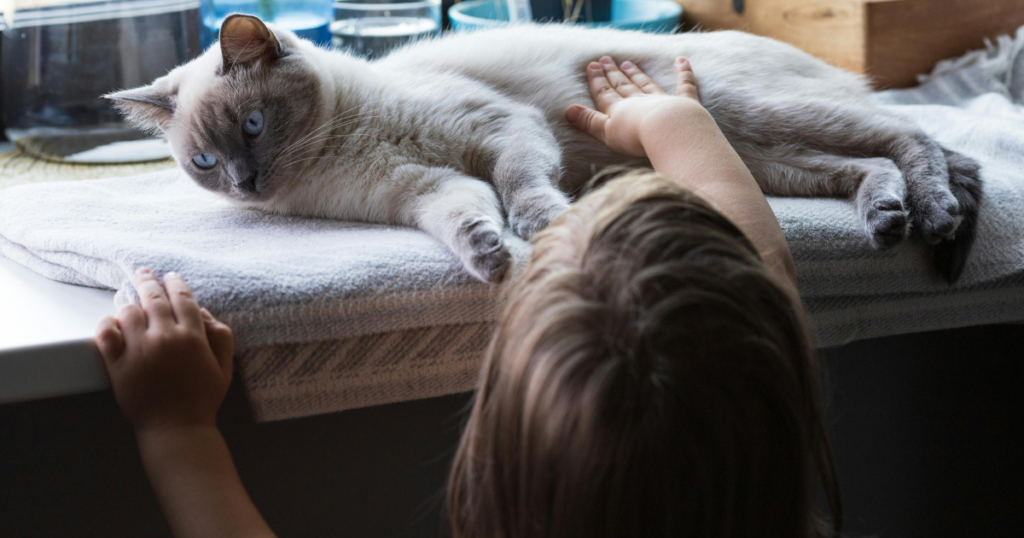 Pet Friendly Sober Living Homes